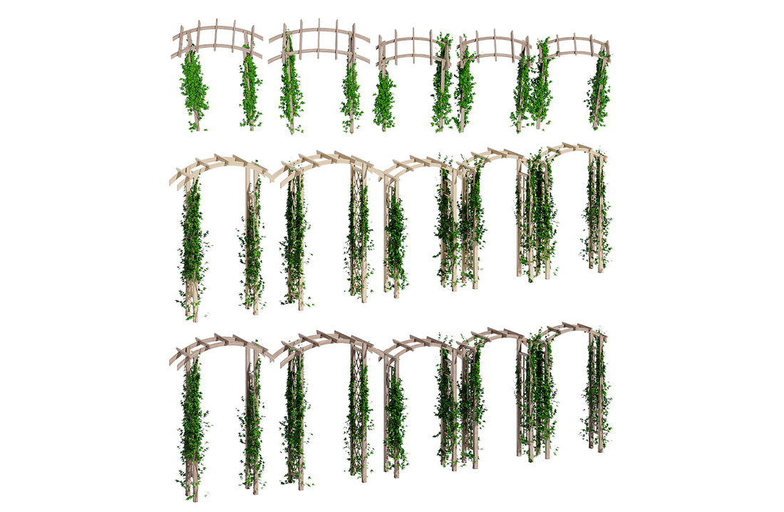 花园拱门花架爬藤植物造景景观植物3d植物模型插图