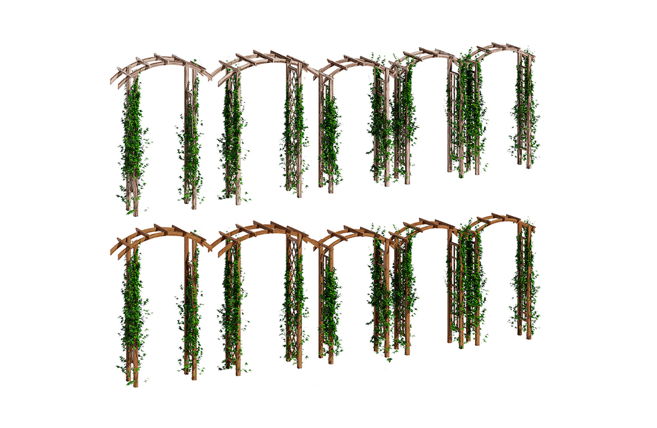 花园拱门花架爬藤植物造景景观植物3d植物模型插图1
