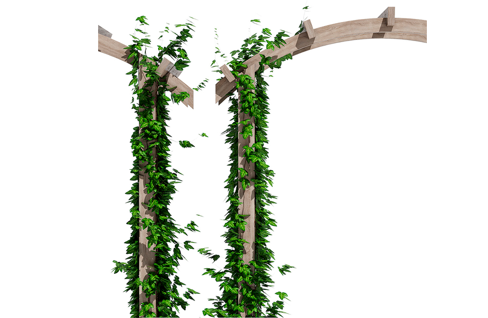 花园拱门花架爬藤植物造景景观植物3d植物模型插图2