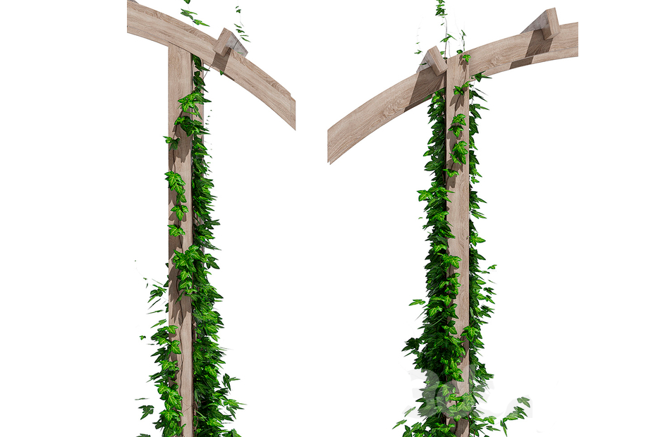 花园拱门花架爬藤植物造景景观植物3d植物模型插图3