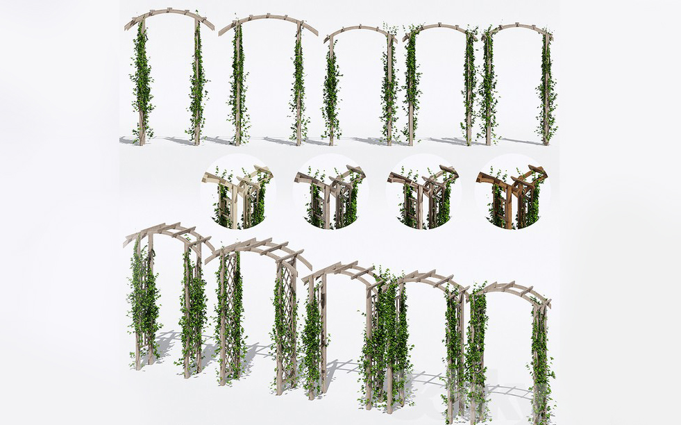 花园拱门花架爬藤植物造景景观植物3d植物模型插图5