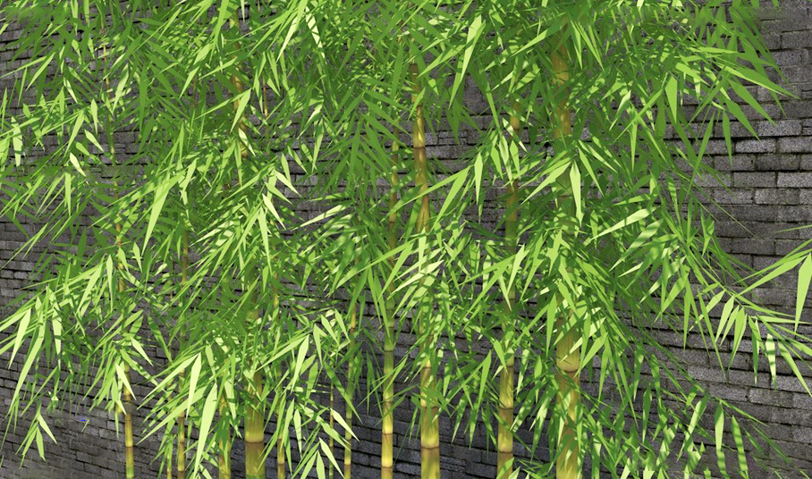 中式灰墙景观竹林竹子植物3d模型插图