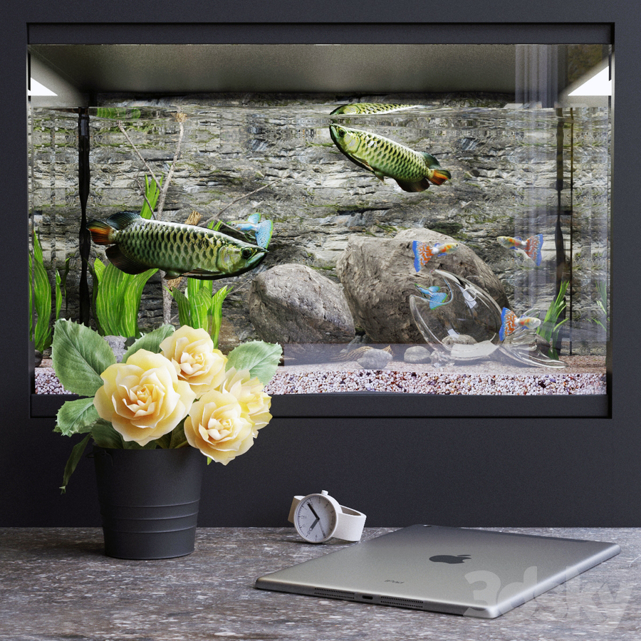 水族馆金龙鱼玻璃鱼缸3d模型插图