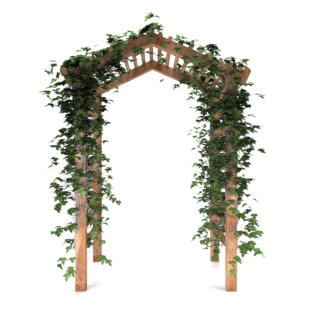花架上的常春藤乔木植物3d模型插图