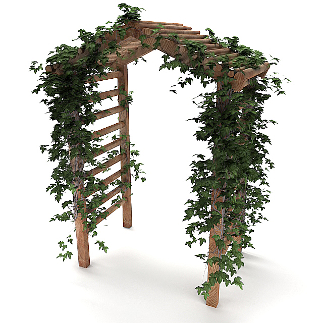 花架上的常春藤乔木植物3d模型插图1
