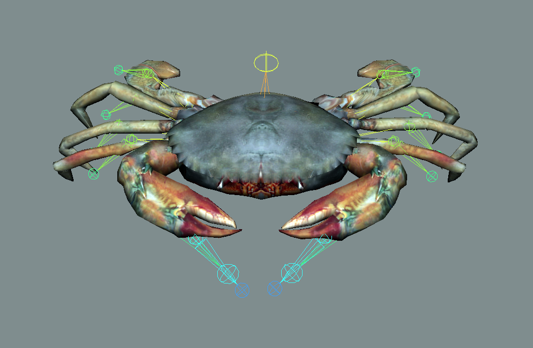 螃蟹maya绑定模型 有动画 四边形布线插图2