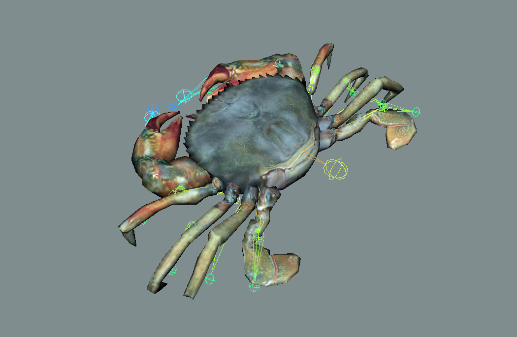 螃蟹maya绑定模型 有动画 四边形布线插图1