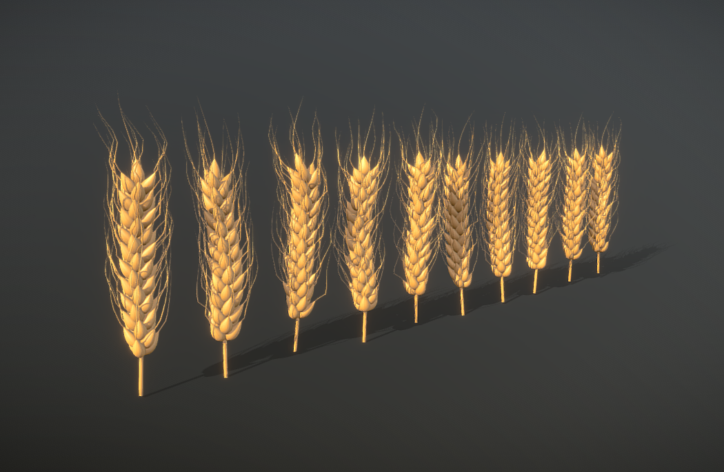 金灿灿的饱满小麦颗粒植物fbx模型插图