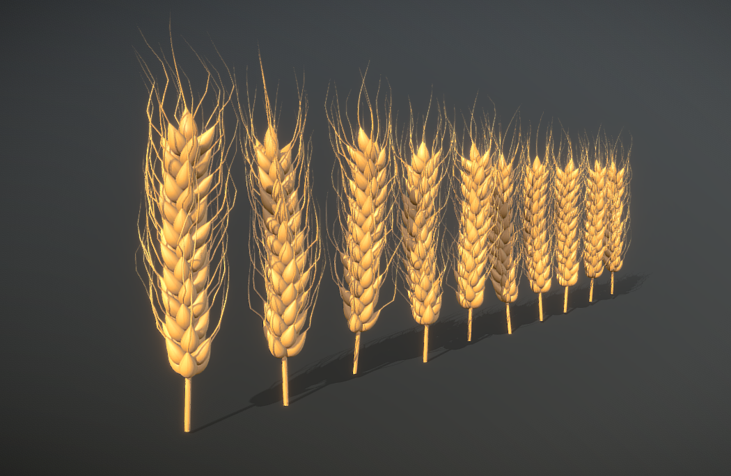 金灿灿的饱满小麦颗粒植物fbx模型插图2