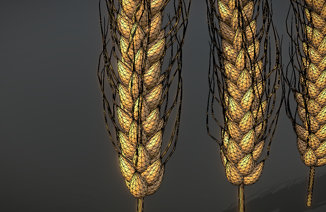 金灿灿的饱满小麦颗粒植物fbx模型插图3