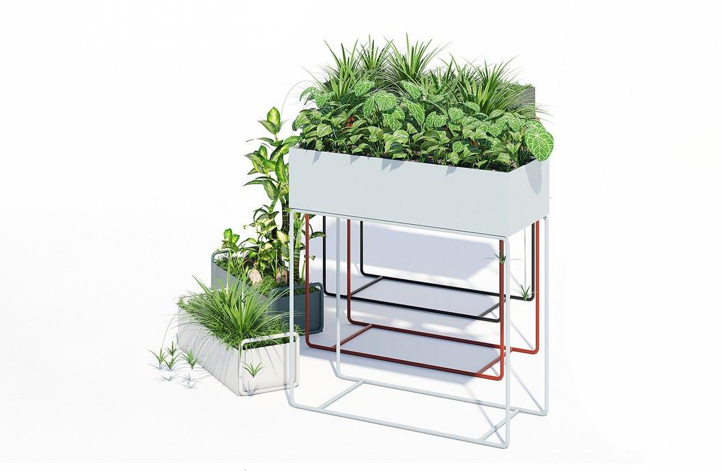 户外装饰景观绿化苗木箱植物3d模型插图1