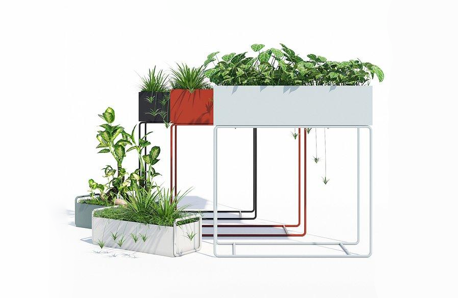 户外装饰景观绿化苗木箱植物3d模型插图