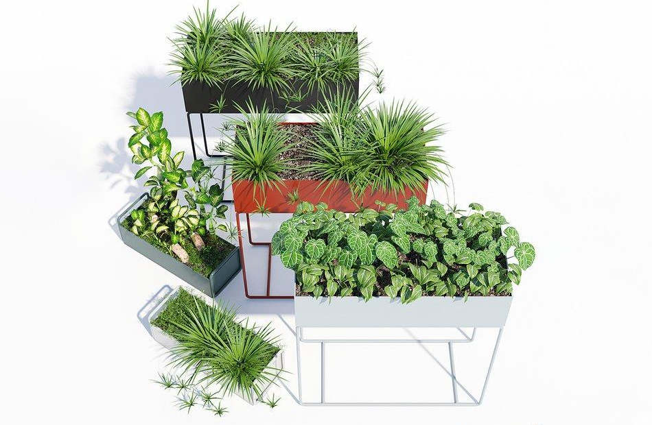 户外装饰景观绿化苗木箱植物3d模型插图2