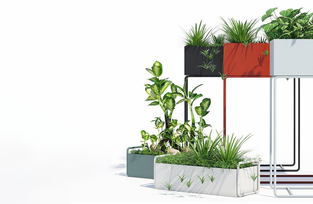 户外装饰景观绿化苗木箱植物3d模型插图3