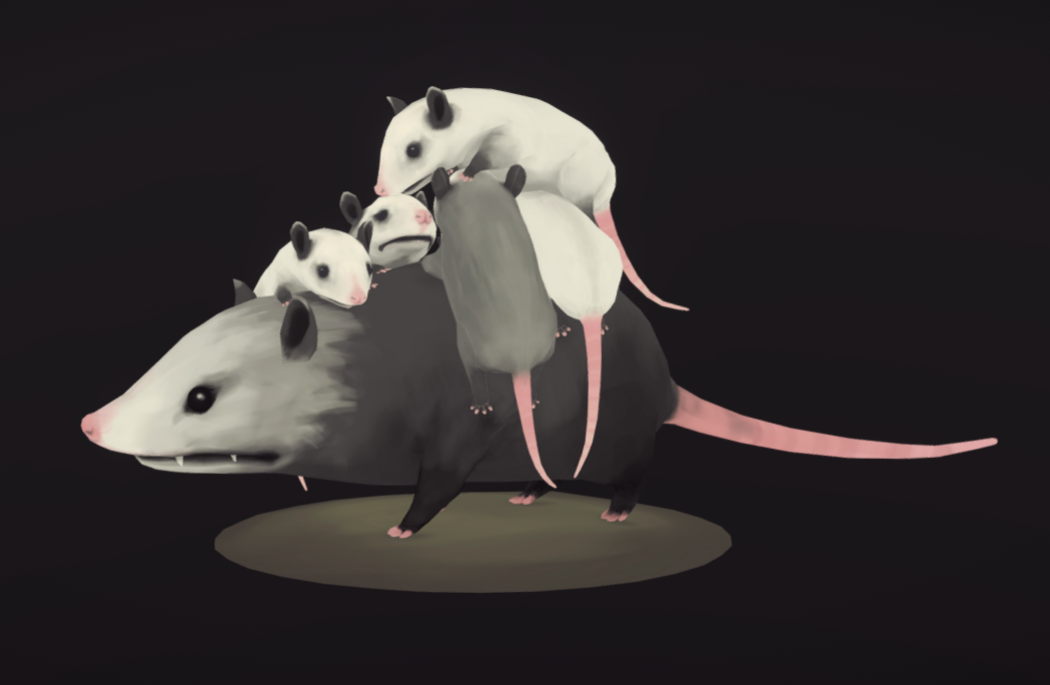 负鼠妈妈鼠宝宝老鼠手绘四边形3d模型插图4