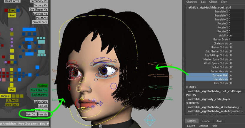 杀手不太冷小女孩Mathilda角色maya绑定模型下载插图5