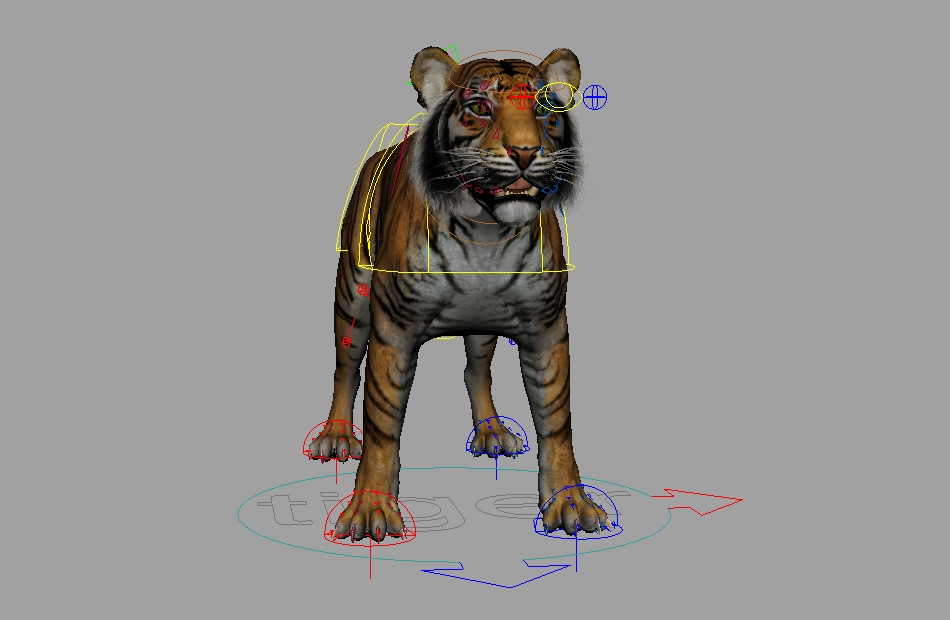 写实老虎tiger_puppet_Maya绑定动物模型下载插图3