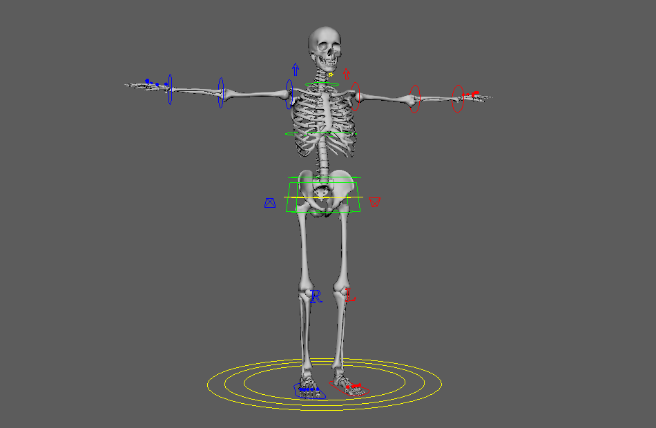 人体骷髅骨架maya绑定动作动画模型下载插图