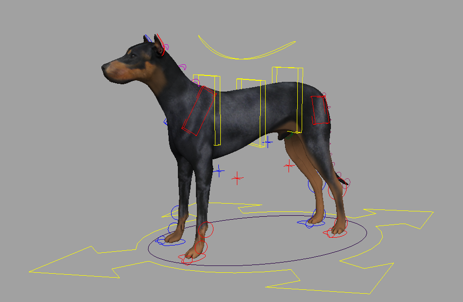 黑色狗写实动物DogRigV01.1角色maya绑定模型下载插图