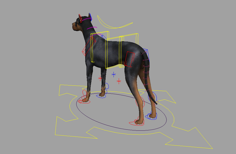 黑色狗写实动物DogRigV01.1角色maya绑定模型下载插图2