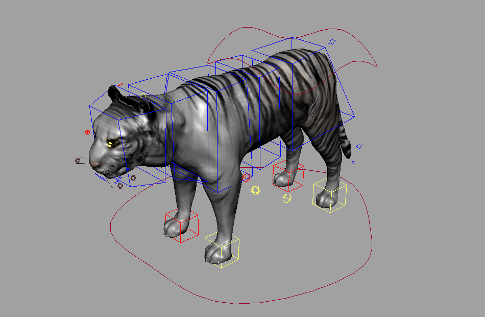 白虎tigerSetup动物maya绑定模型下载插图