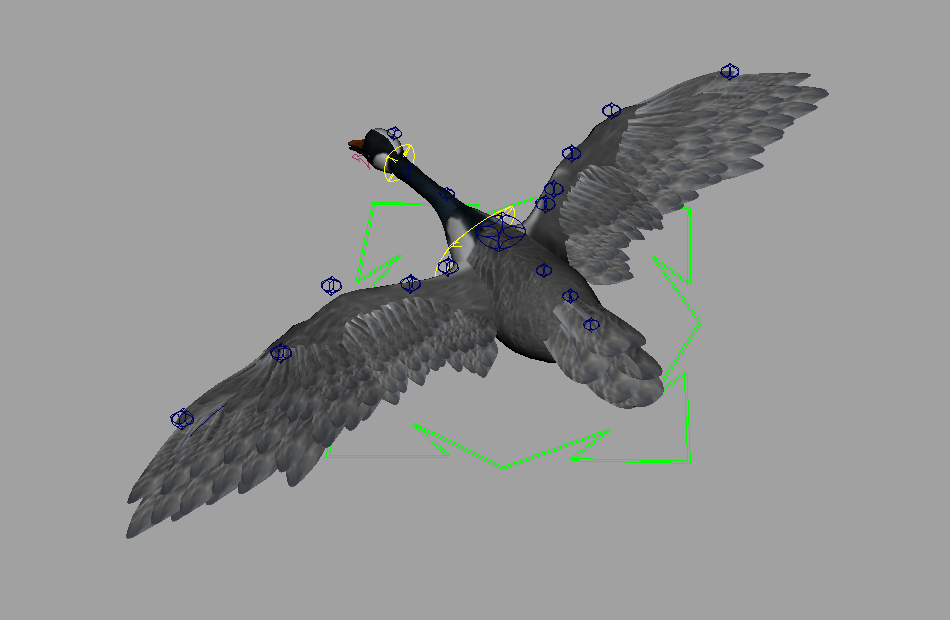 大雁飞翔动画动作maya绑定模型下载插图