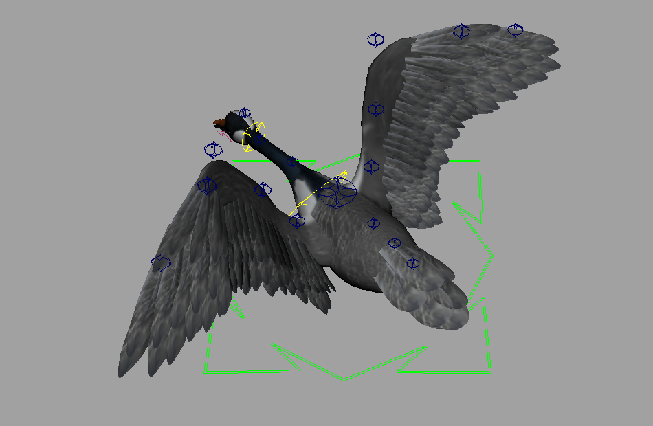 大雁飞翔动画动作maya绑定模型下载插图1