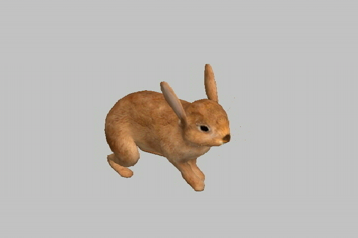 写实兔子rabbit-rigged跑步动画动作模型下载插图