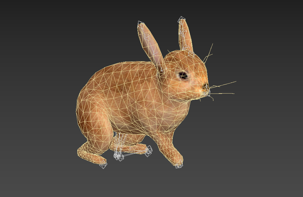 写实兔子rabbit-rigged跑步动画动作模型下载插图2