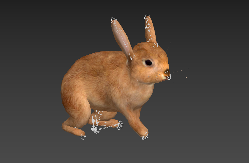 写实兔子rabbit-rigged跑步动画动作模型下载插图1