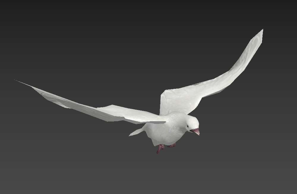 白色鸽子pigeon飞翔动画fbx动作模型下载插图1