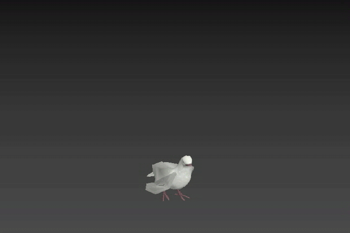 白色鸽子pigeon飞翔动画fbx动作模型下载插图