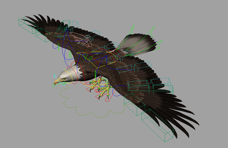 非常棒的老鹰Eagle_ai_2017写实动物maya绑定模型下载插图