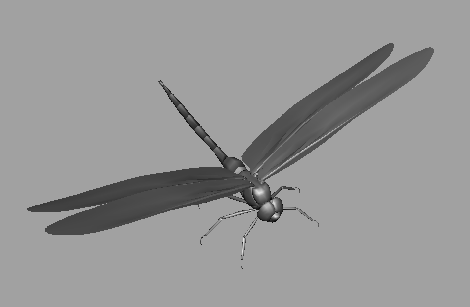 蜻蜓dragonfly+maya写实模型下载插图2
