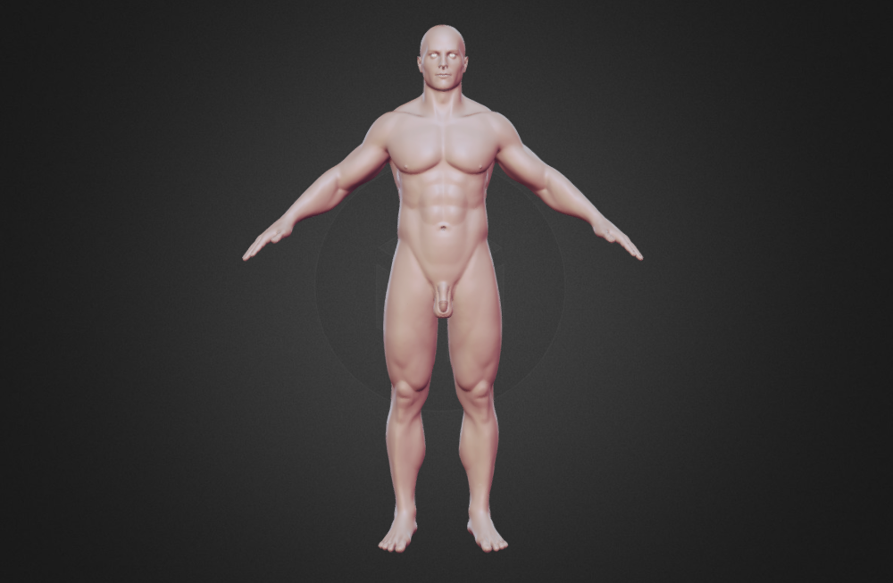 研究人类男性雕塑参考写实3d打印模型下载插图