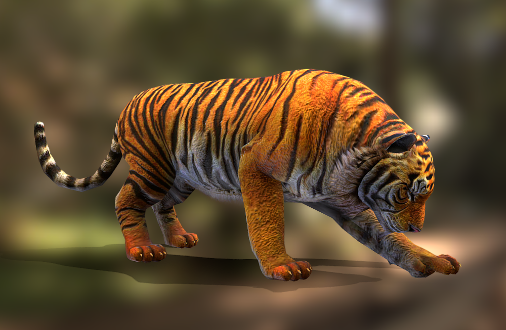 老虎tiger写实模型 有绑定 有动作插图