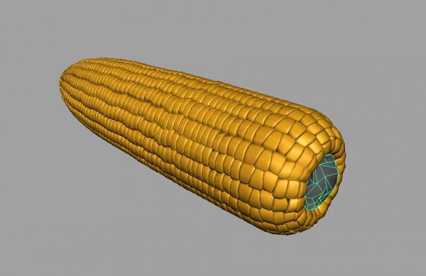 高质量写实玉米maya模型下载插图