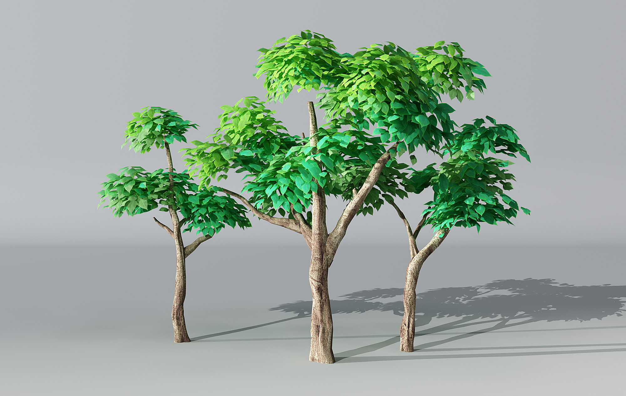 H25-0628树绿叶树卡通植物模型下载插图