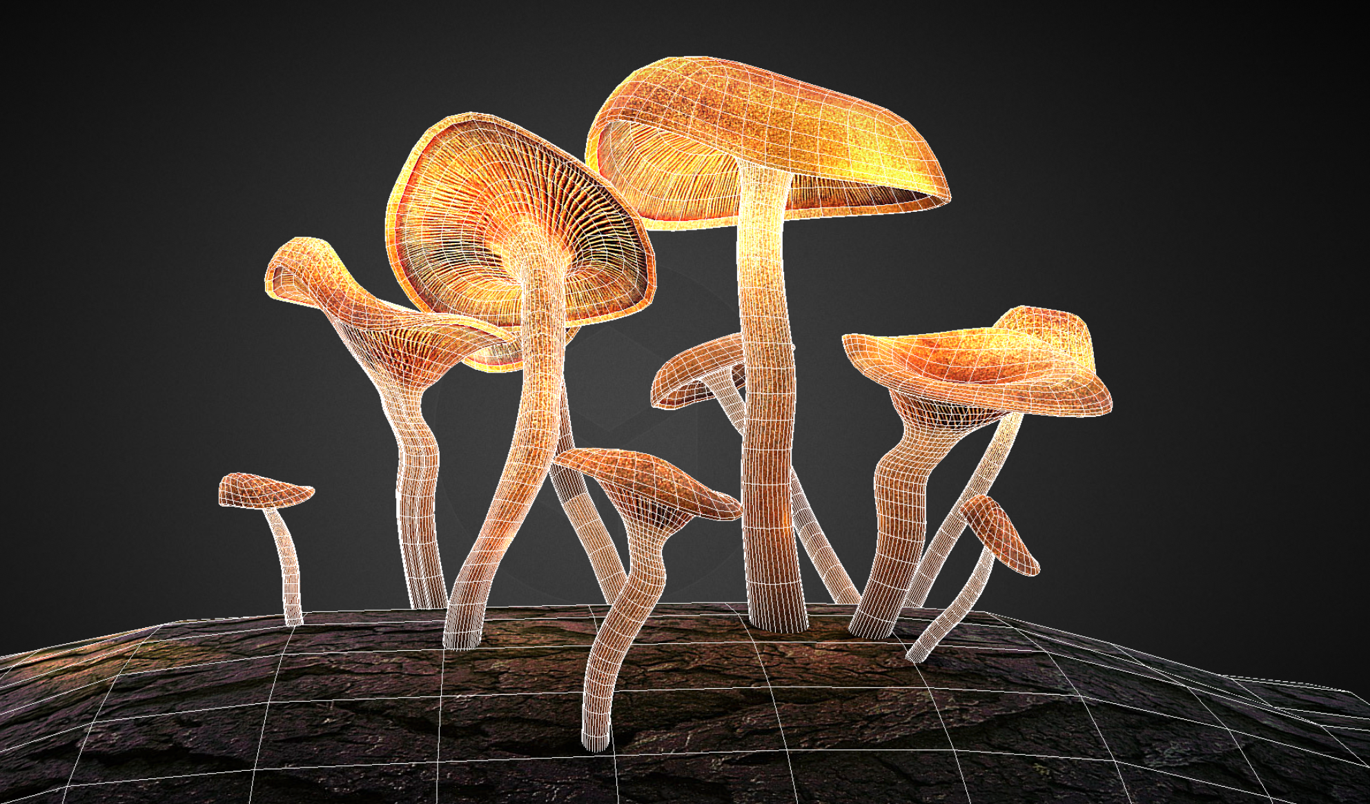 枯树上的蘑菇mushroom-on-tree-baked-lighting-map插图1