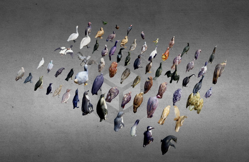 lowpoly-birds鸟类的集合插图