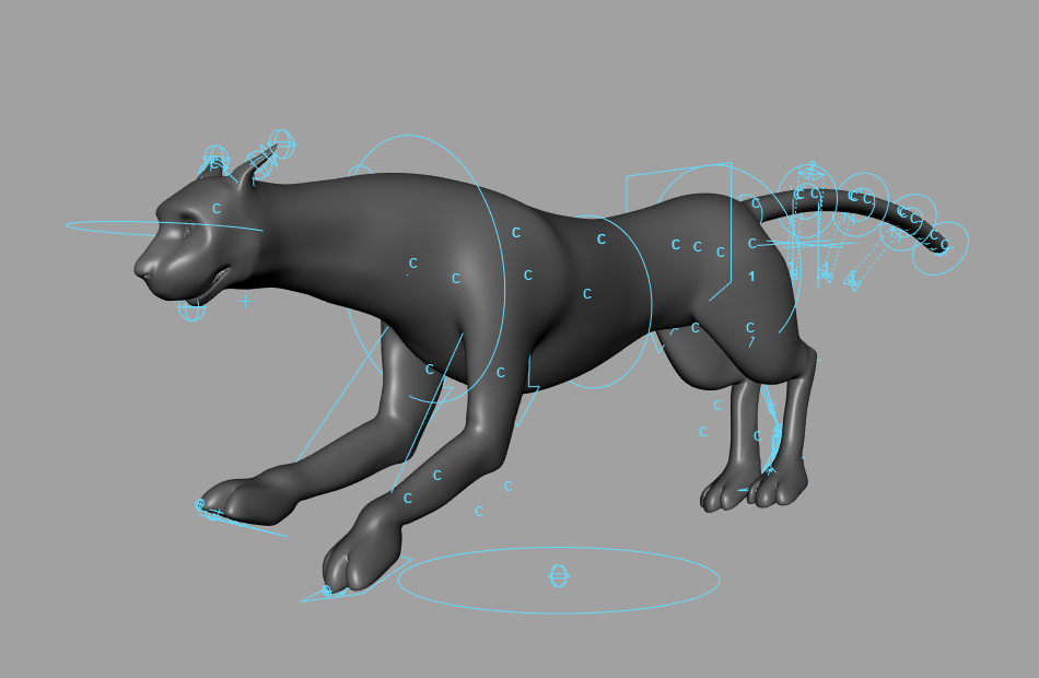 豹子Maya模型_猎豹_四足动物_Maya模型下载插图