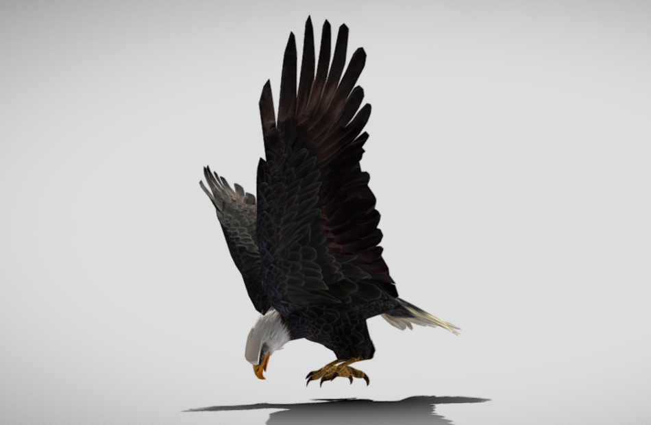 带有动画的着陆鹰fbx模型下载插图3