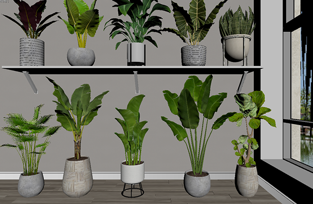 室内植物 盆栽 绿化3d模型插图