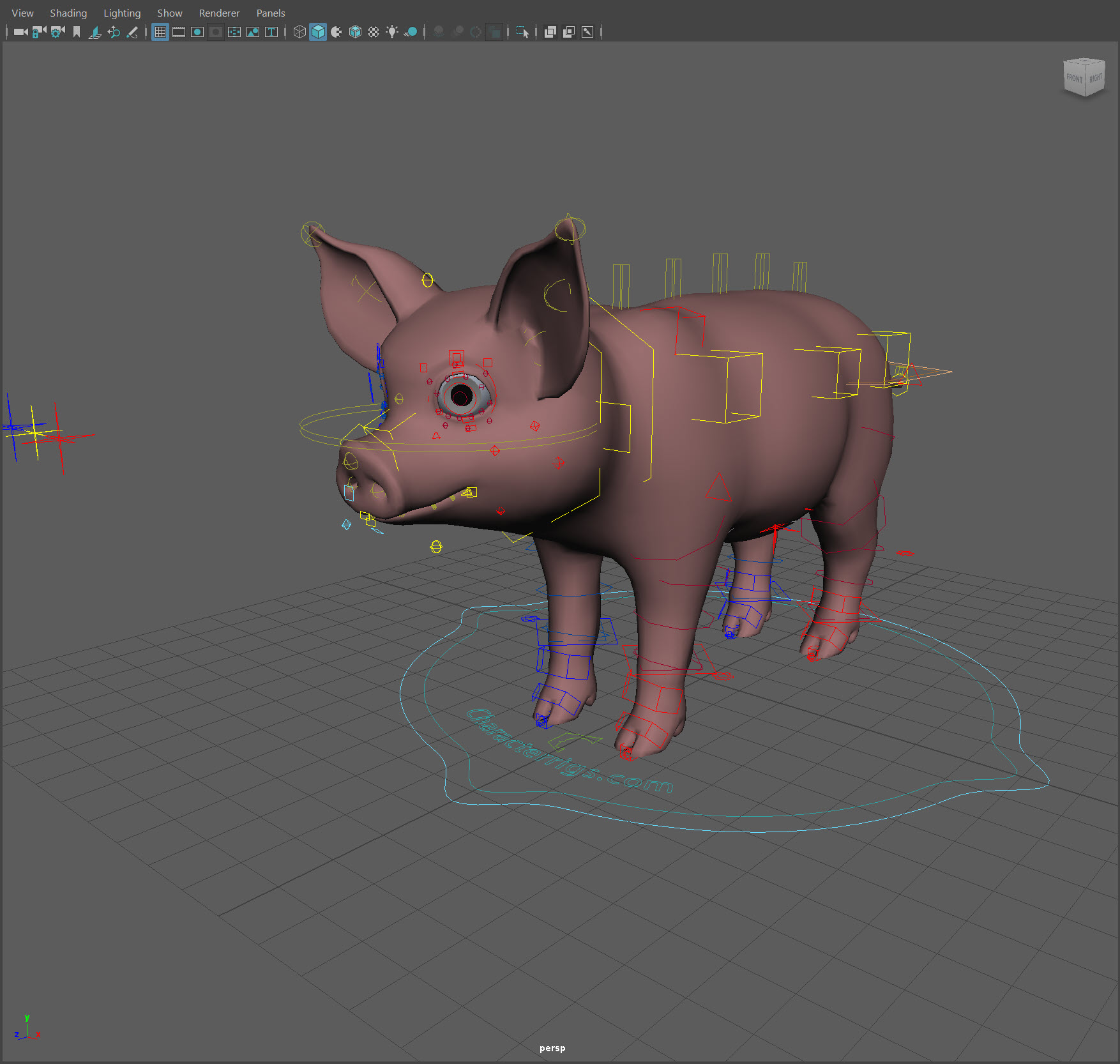 Little cartoon pig Booboo rig卡通小猪Booboo装备maya绑定模型插图2