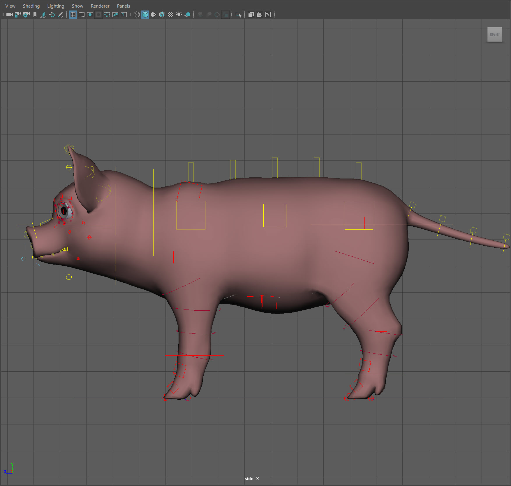 Little cartoon pig Booboo rig卡通小猪Booboo装备maya绑定模型插图9