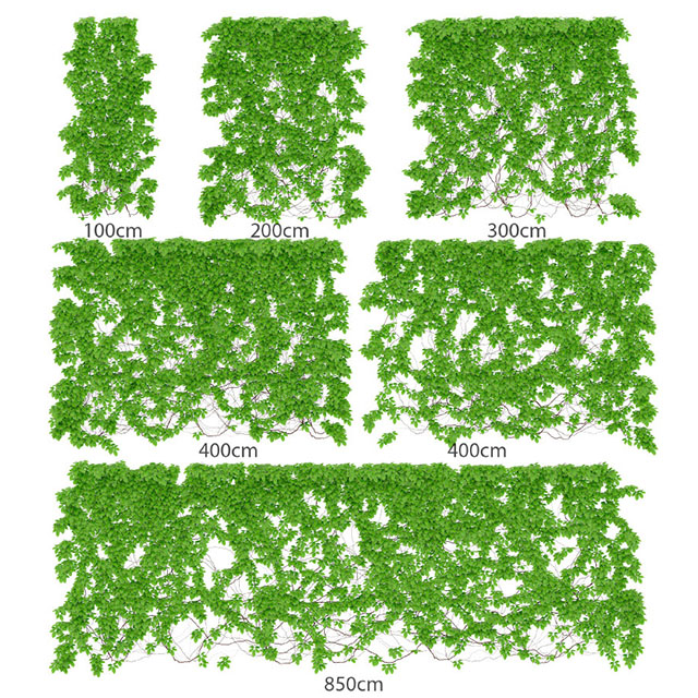 6种尺寸的爬藤植物3dmax模型下载插图