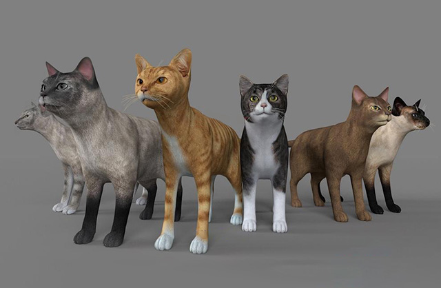 写实猫咪花猫C4D模型，带完整贴图插图
