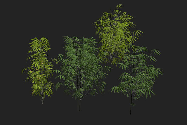 翠竹植物3d模型插图