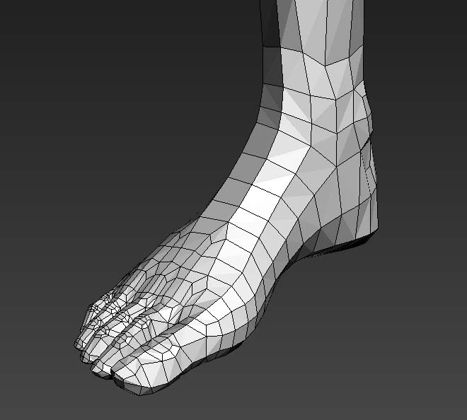 标准脚部四边形布线基础模型插图