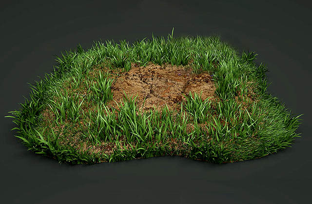 超写实绿地草地长草的地C4D模型下载插图